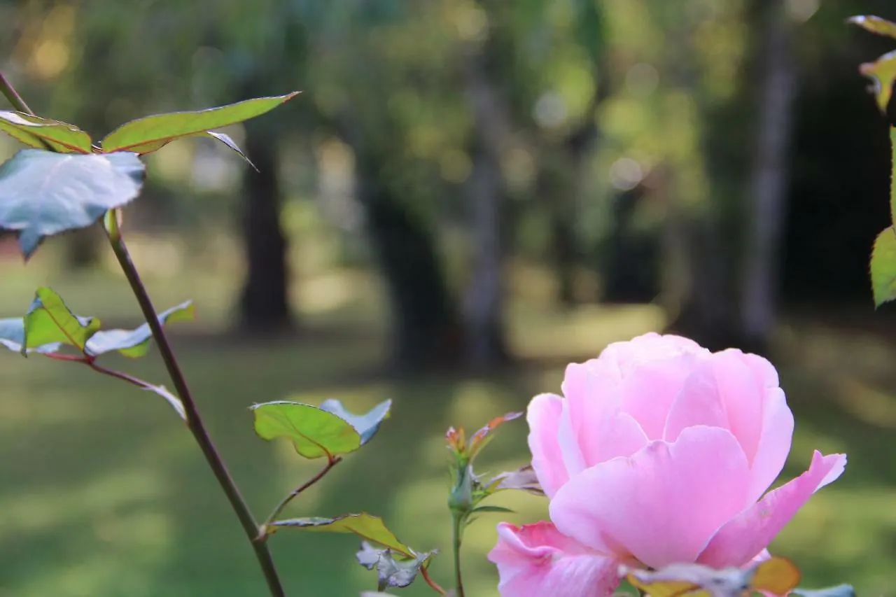 La Belle Monsoise Bed and Breakfast 3*, Mons-en-Baroeul